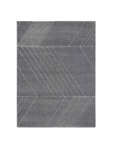 Tapis Loft Gris 100x150cm