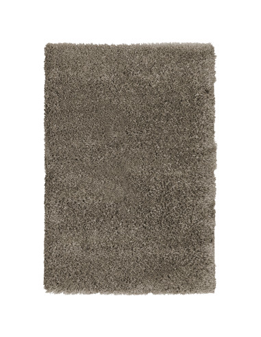 Tapis Unis Taupe 100x150cm